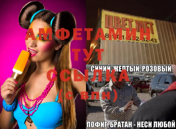 прущие грибы Болотное