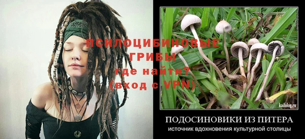 mdma Новодвинск