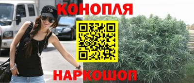 индика Заволжье