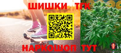 индика Заволжье