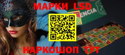 индика Заволжье