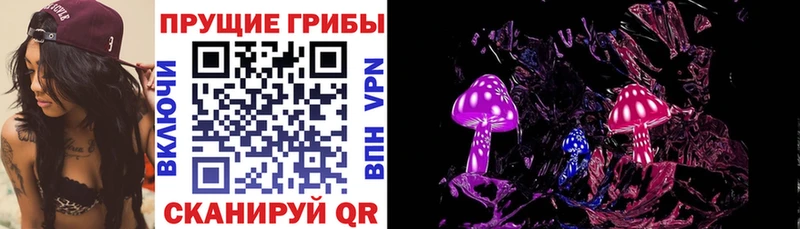 Псилоцибиновые грибы мицелий  хочу   Майский 