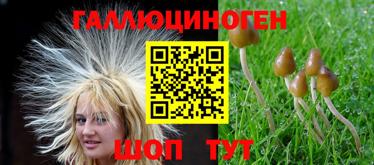 Галлюциногенные грибы MAGIC MUSHROOMS  Вход с VPN  Псилоцибиновые грибы Magic Shrooms  Майский 