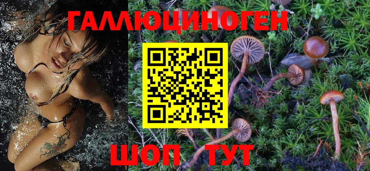 Галлюциногенные грибы MAGIC MUSHROOMS Майский
